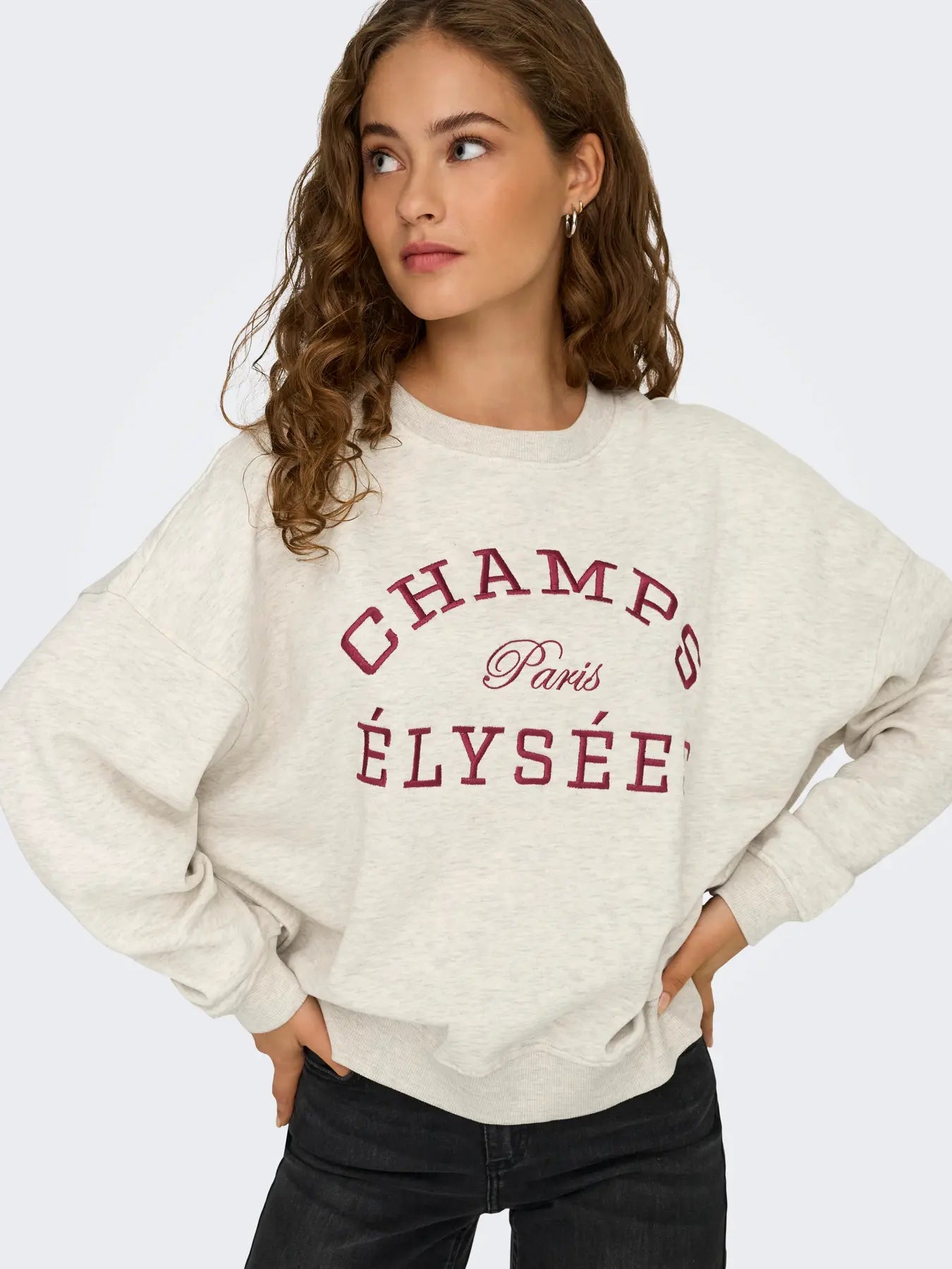 JDYMESA L/S O-NECK EMB SWEAT