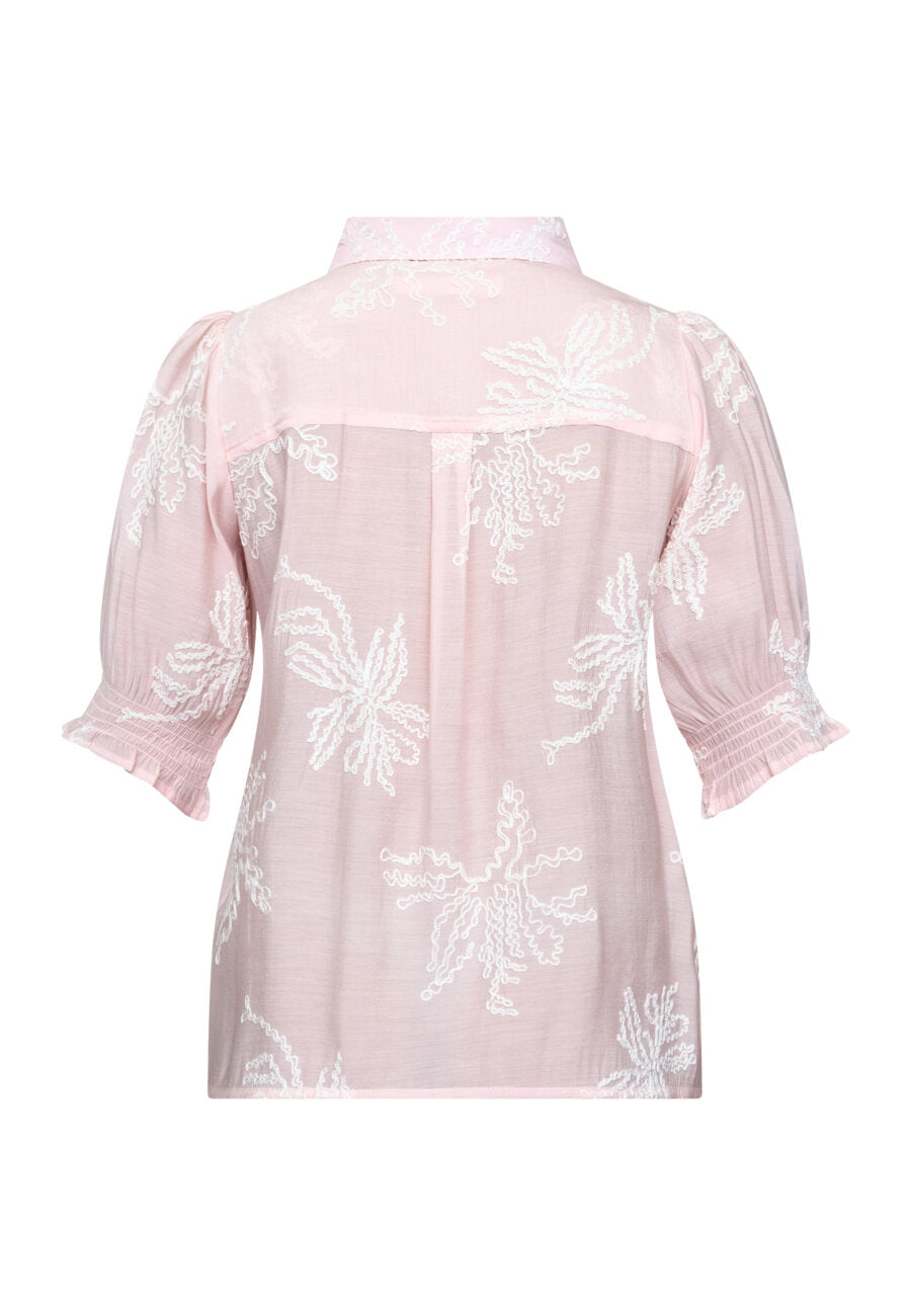 ISOLA-SS13